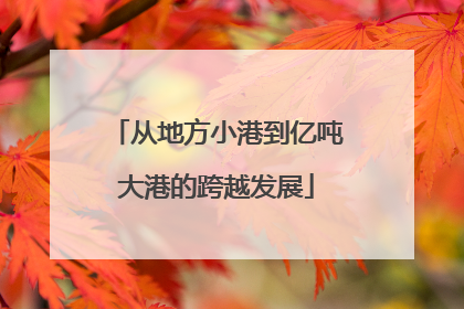 从地方小港到亿吨大港的跨越发展