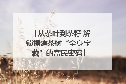 从茶叶到茶籽 解锁福建茶树“全身宝藏”的富民密码