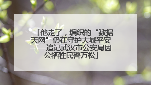 他走了，编织的“数据天网”仍在守护大城平安——追记武汉市公安局因公牺牲民警万松