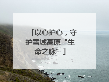 以心护心，守护雪域高原“生命之脉”