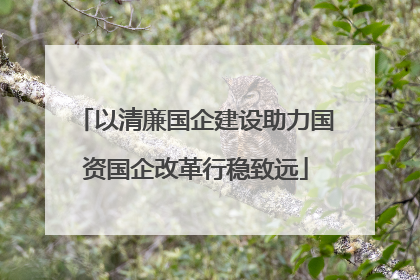 以清廉国企建设助力国资国企改革行稳致远