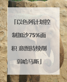 以色列计划控制加沙75%面积 意图持续削弱哈马斯