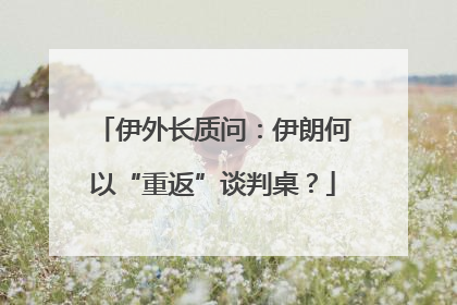 伊外长质问：伊朗何以“重返”谈判桌？