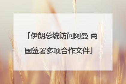 伊朗总统访问阿曼 两国签署多项合作文件