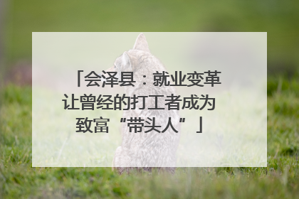 会泽县：就业变革让曾经的打工者成为致富“带头人”