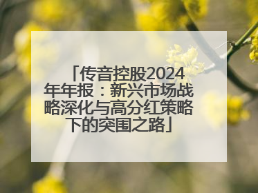 传音控股2024年年报：新兴市场战略深化与高分红策略下的突围之路