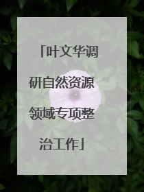 叶文华调研自然资源领域专项整治工作