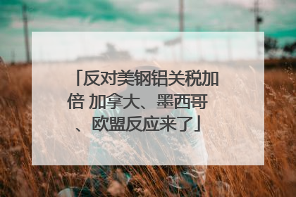 反对美钢铝关税加倍 加拿大、墨西哥、欧盟反应来了
