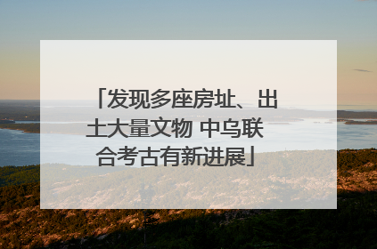 发现多座房址、出土大量文物 中乌联合考古有新进展