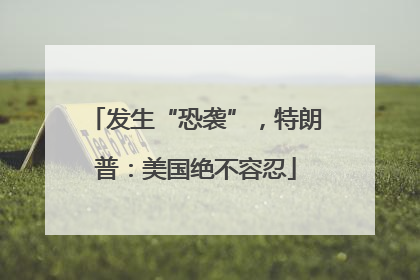 发生“恐袭”，特朗普：美国绝不容忍