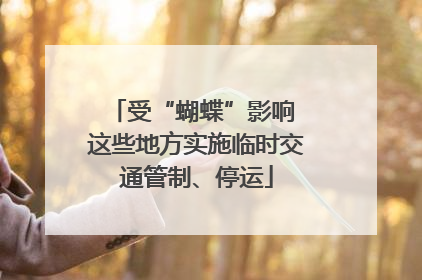 受“蝴蝶”影响 这些地方实施临时交通管制、停运