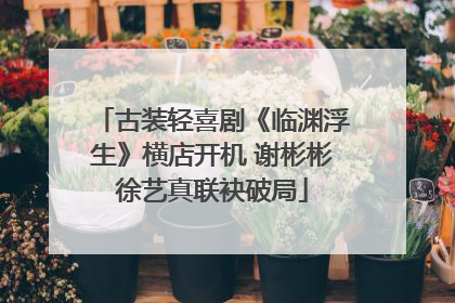 古装轻喜剧《临渊浮生》横店开机 谢彬彬徐艺真联袂破局