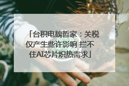 台积电魏哲家：关税仅产生些许影响 拦不住AI芯片炽热需求