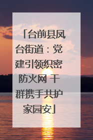 台前县凤台街道：党建引领织密防火网 干群携手共护家园安