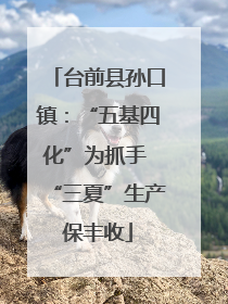台前县孙口镇：“五基四化”为抓手 “三夏”生产保丰收
