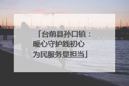 台前县孙口镇：暖心守护践初心 为民服务显担当