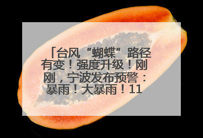 台风“蝴蝶”路径有变！强度升级！刚刚，宁波发布预警：暴雨！大暴雨！11级大风！