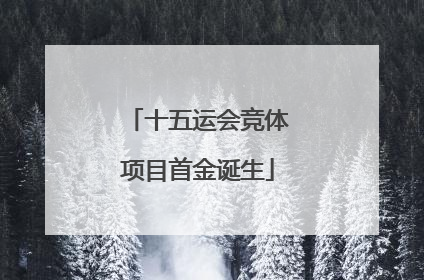 十五运会竞体项目首金诞生