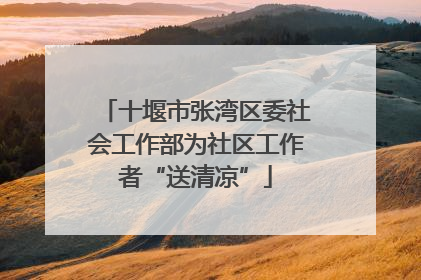 十堰市张湾区委社会工作部为社区工作者“送清凉”