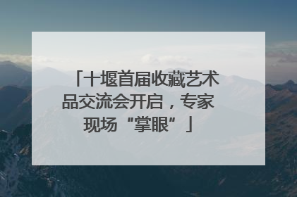 十堰首届收藏艺术品交流会开启，专家现场“掌眼”