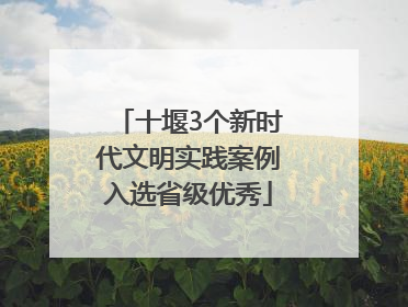 十堰3个新时代文明实践案例入选省级优秀