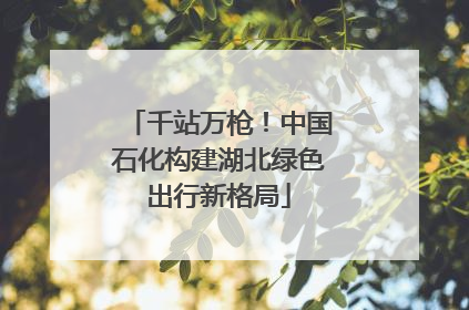 千站万枪！中国石化构建湖北绿色出行新格局
