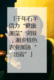 千年石羊借力“健康湘菜”突围，湘乡特色农业加速“出省”