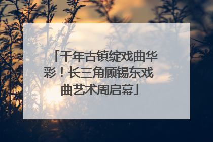 千年古镇绽戏曲华彩！长三角顾锡东戏曲艺术周启幕