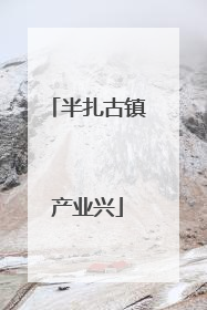 半扎古镇产业兴