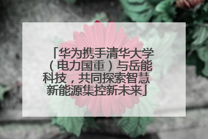 华为携手清华大学（电力国重）与岳能科技，共同探索智慧新能源集控新未来