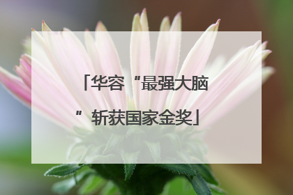 华容“最强大脑”斩获国家金奖