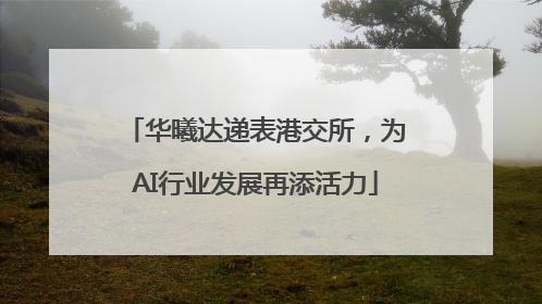 华曦达递表港交所，为AI行业发展再添活力