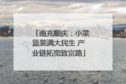 南充顺庆：小菜篮装满大民生 产业链拓宽致富路