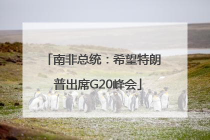 南非总统：希望特朗普出席G20峰会