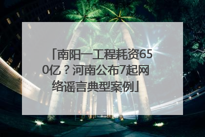 南阳一工程耗资650亿？河南公布7起网络谣言典型案例