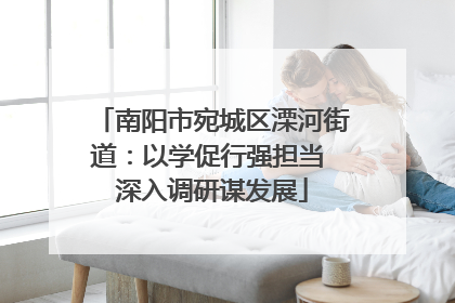 南阳市宛城区溧河街道：以学促行强担当 深入调研谋发展