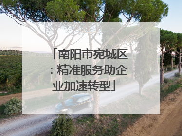 南阳市宛城区：精准服务助企业加速转型
