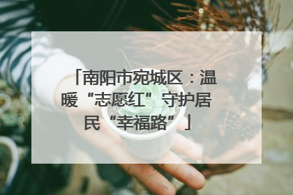南阳市宛城区：温暖“志愿红”守护居民“幸福路”