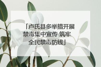 卢氏县多举措开展禁毒集中宣传 筑牢全民禁毒防线