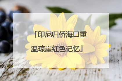 印尼归侨海口重温琼崖红色记忆