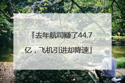 去年航司赚了44.7亿，飞机引进却降速