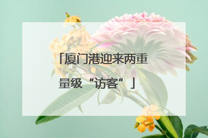 厦门港迎来两重量级“访客”