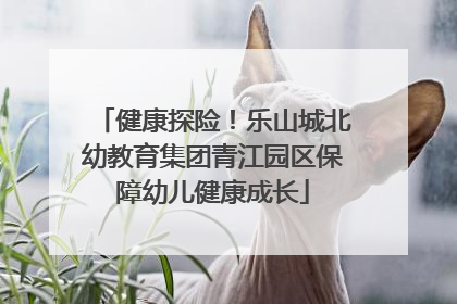 健康探险！乐山城北幼教育集团青江园区保障幼儿健康成长