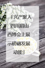兴产聚人 四川眉山西博会上展示磅礴发展动能