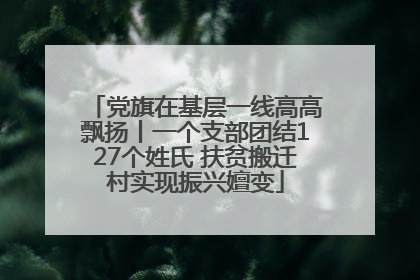党旗在基层一线高高飘扬丨一个支部团结127个姓氏 扶贫搬迁村实现振兴嬗变