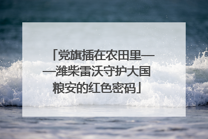 党旗插在农田里——潍柴雷沃守护大国粮安的红色密码