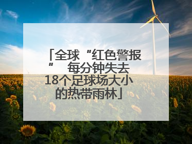 全球“红色警报”  每分钟失去18个足球场大小的热带雨林