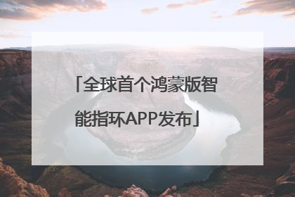 全球首个鸿蒙版智能指环APP发布