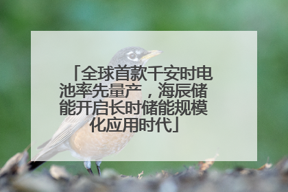 全球首款千安时电池率先量产，海辰储能开启长时储能规模化应用时代