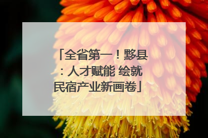 全省第一！黟县：人才赋能 绘就民宿产业新画卷